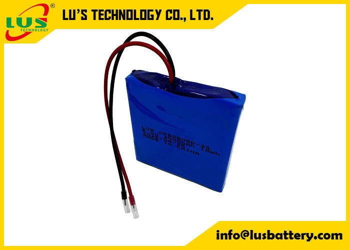 CP505050-2S personalizzato 6V Batteria primaria a cellula di sacchetto 3000mah pacchetto di batterie a cellula sottile OEM